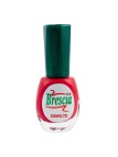 Esmalte colección rojo C1