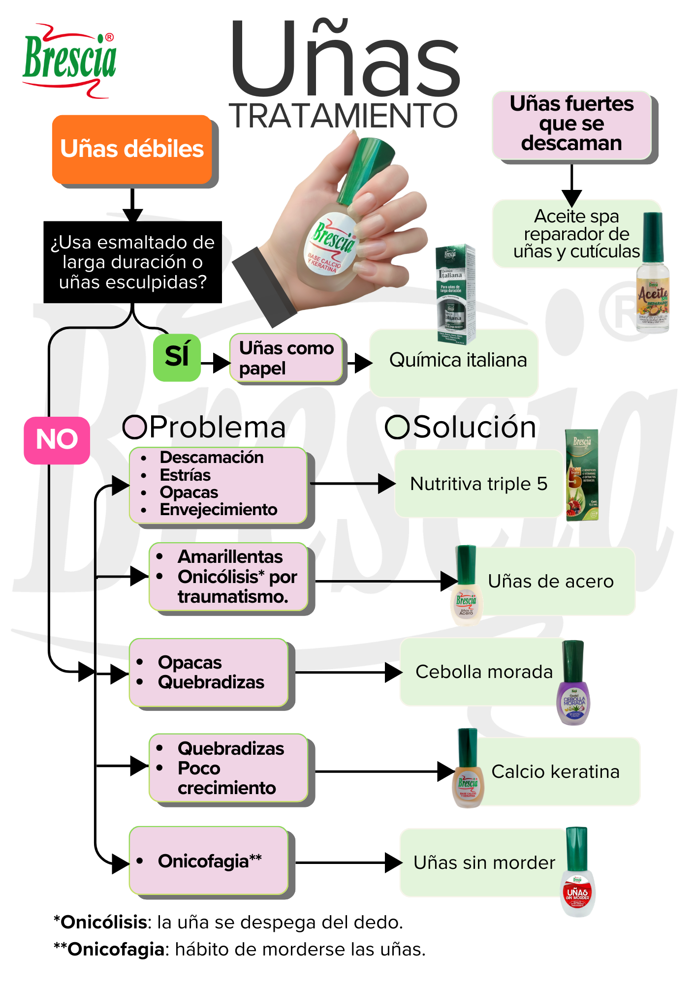 Tabla con bases tratamiento Brescia